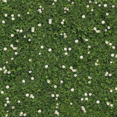 Gazon Fleuri – Moquette imprimée Gazon Fleuri - Moquette imprimée