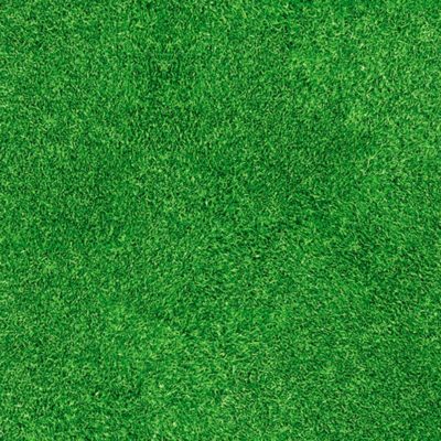 Imprimée Gazon – Moquette imprimée Imprimée Gazon - Moquette imprimée